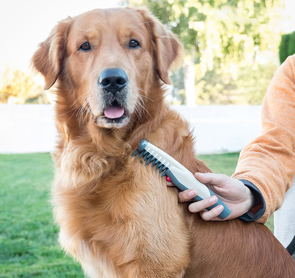 Elektrisk kam och tovborttagare