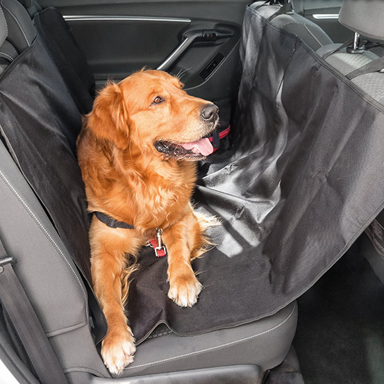 Bilskydd för husdjursägare