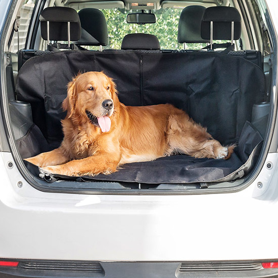 Bilskydd för husdjursägare