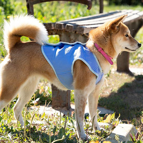 Kylväst för husdjur i liten storlek